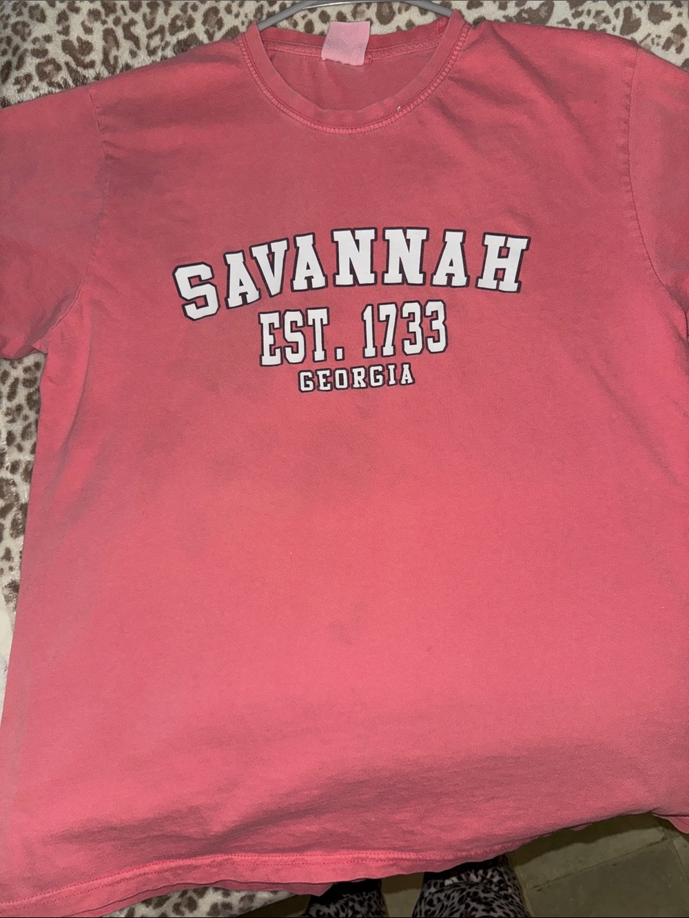Comfort Colors Savannah Graphic Tee in Pink